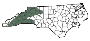 Bog turtle range