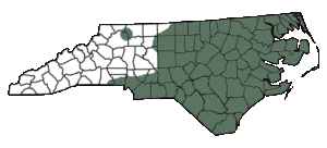 Eastern mud range