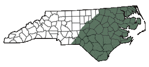 Range of spotted turtle